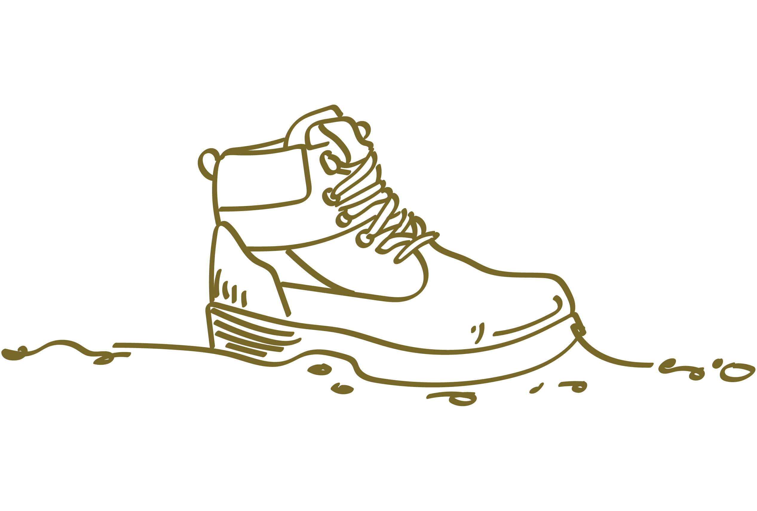 shoe.png