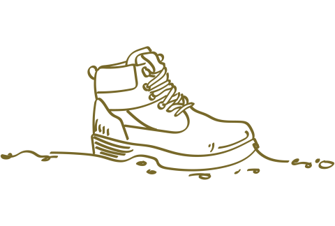 Shoe